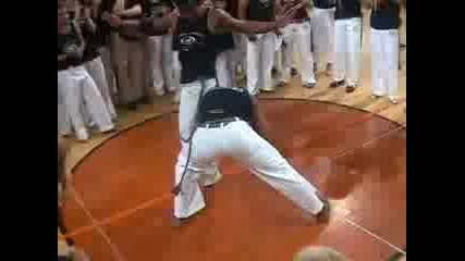 Capoeira (perfektni Udari)