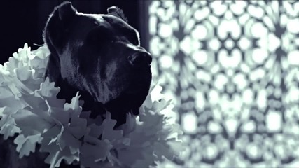 Baek Ji Young ft. Jun Hyung - Good Boy teaser