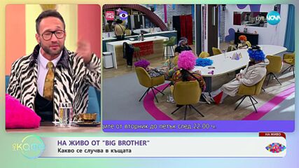 На живо от Big Brother: Какво се случва в къщата? - „На кафе“ (19.11.2024)