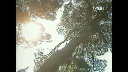 Zorica Brunclik - Moja dusa zna (muke moje) - Youtube