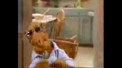 ALF - Last Resort