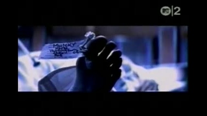 Korn - Adidas