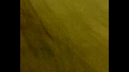 Pimpedcarsareamazing