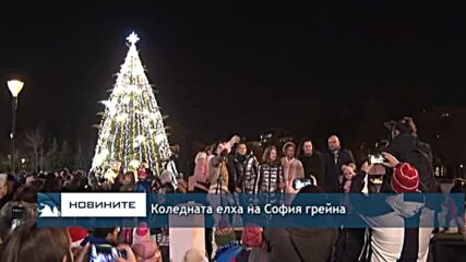 Коледната елха на София грейна