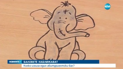 Новините на NOVA (15.05.2017 - обедна)