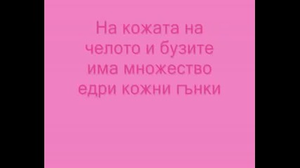 Шар - Пей {}