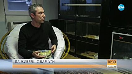 Видинчанин отглежда десетки влечуги (ВИДЕО)