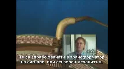 В Света На Любопитното 