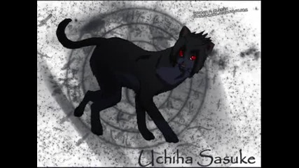 Naruto 7th Opening Cats
