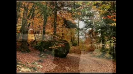 Сърце, какво правиш - Фред Бонгусто (превод) 