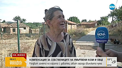 Започва акция по даряване на агнета в района на село Шарково