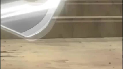 Killer Bee - Indestructible!