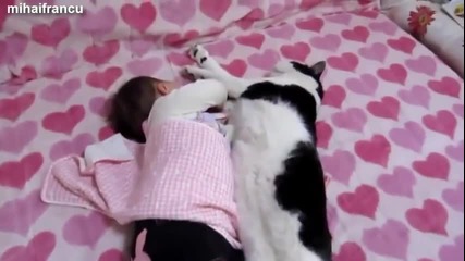 Миличко сладко коте се оптяга като човек