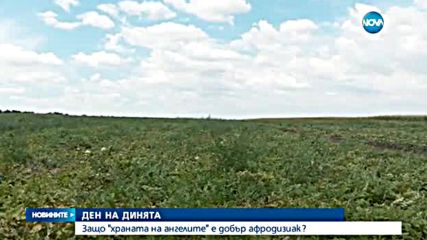 Ден на динята: Защо "храната на ангелите" е добър афродизиак?