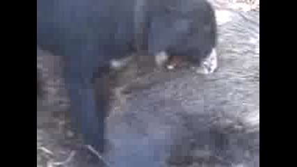 lov - manoli4 7