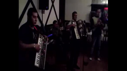 Gregari Mitko Mitev Zdravo Xoro.avi