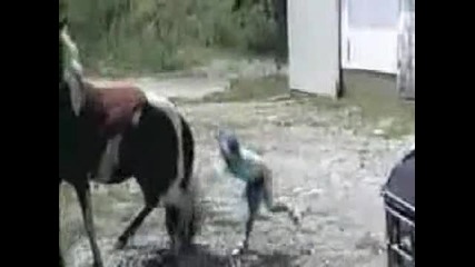 Здрав Къч удари дете 