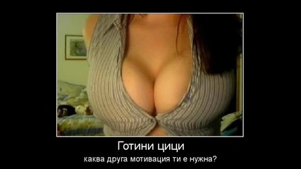 Най-откачените снимки събрани от Нета ; )