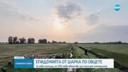 Епидемията от Шарка по дребните животни продължава да се разпространява