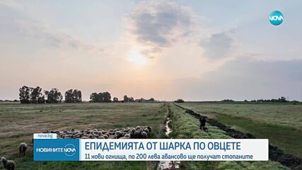 Епидемията от Шарка по дребните животни продължава да се разпространява