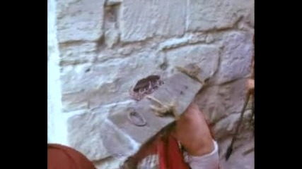 Пътят на Исус Христос The Way of Jesus Christ