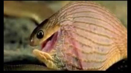 Уникат - мистика