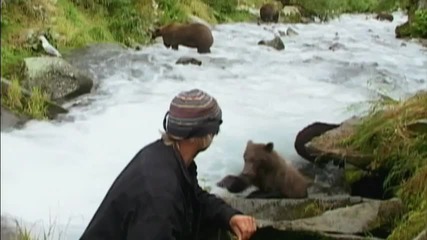 Grizzly Man