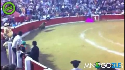 Разярен бик влиза при публиката 