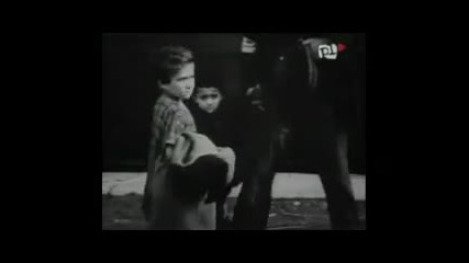 Iced Earth - Angels Holocaust (hq) 
