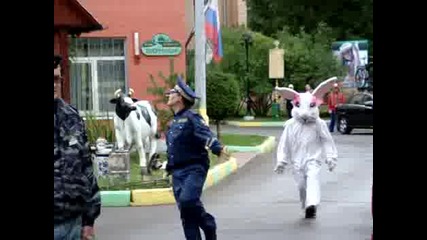 Ах,  тези руснаци :) Весел полицай