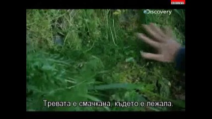 Оцеляване на предела - Аляска - Ultimate Survival - Alaska (част 2#2) (bg subs) 