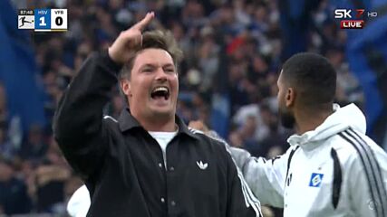 Hamburger SV vs. VfB Stuttgart - Game Highlights