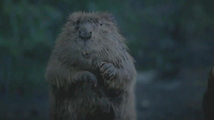 Bridgestone - Carma - 2011 Super Bowl Commercial Ad