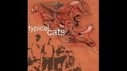 Typical Cats - The Manhattan Project