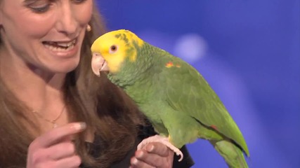 Най - изумителният талант който сте виждали