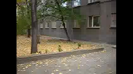 Есенен Пейзаж В Пловдив - Гледай Красота