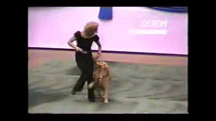 Dog Dance