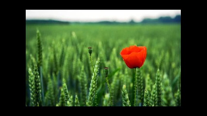 Crossryders feat Three Faces - One Another (original mix) 
