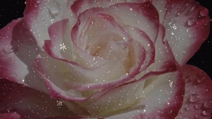 Le Ann Rimes - The Rose /роза/ - За моята роза - Дани!
