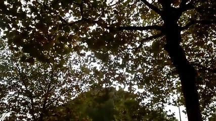Звездата Жан - Клод Ван Дам раздава автографи и се снима с фенове на откриването на своята статуя