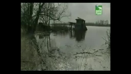 Живот в мъртвата зона - част 5