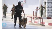 Tunisia Beach Resort Attack: Multiple Deaths Reported