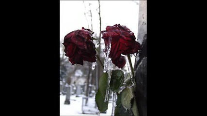 (ПРЕВОД) Papa Roach - Roses On My Grave
