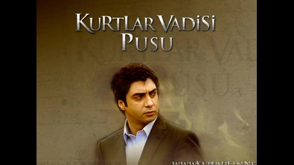 Polat Alemdar 