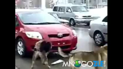 Авто смешки