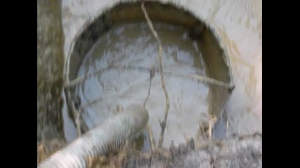 Sam_0017