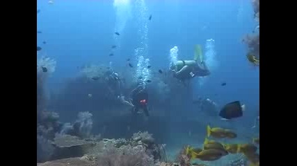 Остров Тиаман - подводния свят