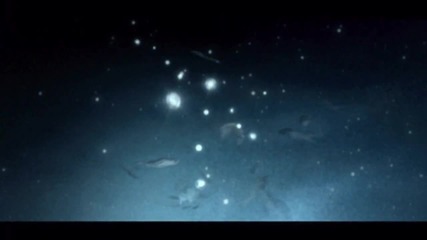 Bjork- Desired Constellation