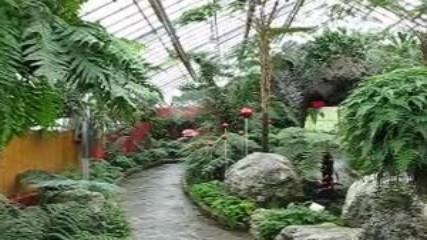 Монреал, Канада (Национална ботаническа градина) 045