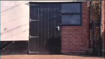 Donkey Escape Artist - Clever Critters - Bbc Pets & Animals 
